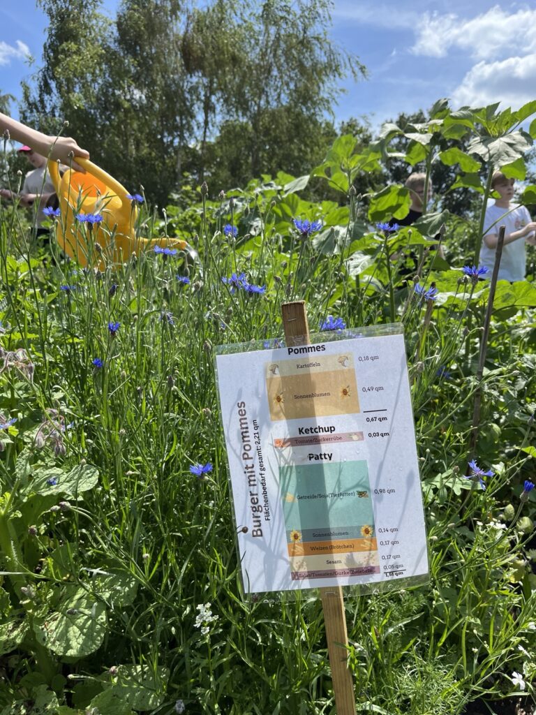 Link zum Beitrag: Flächenbuffet: Mein Teller wächst im Beet